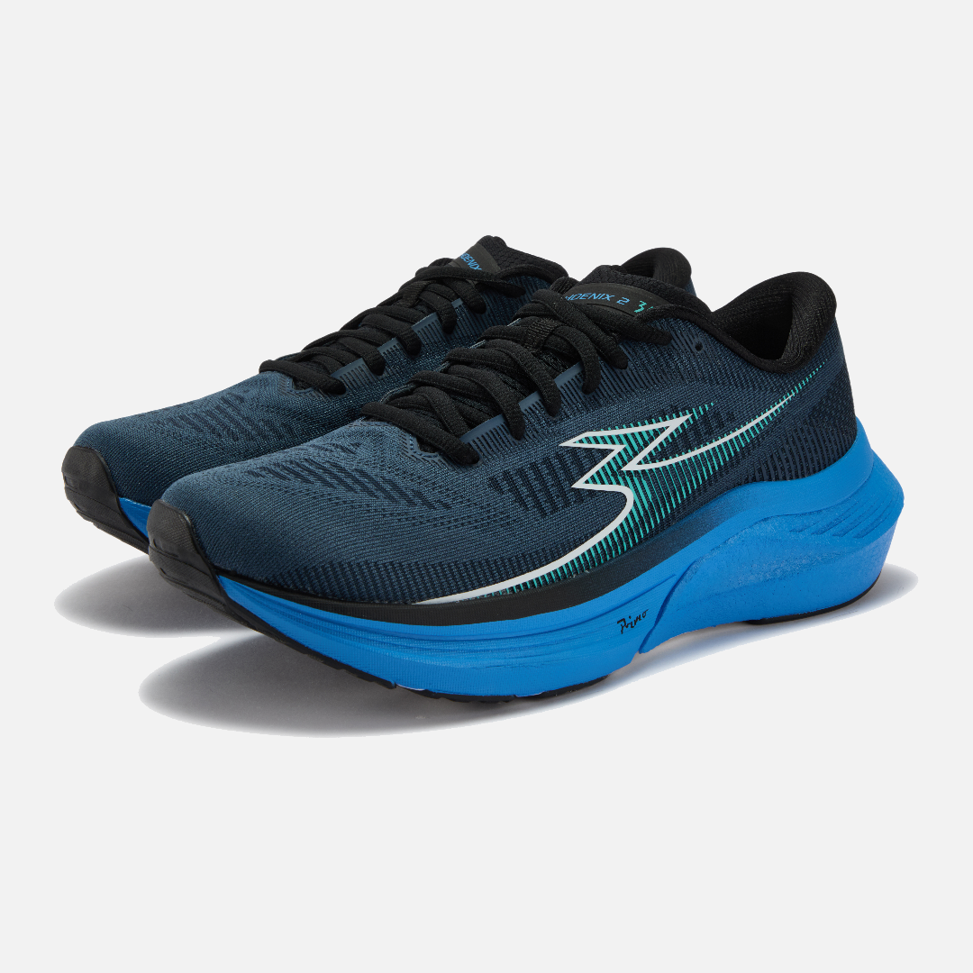 MEN'S 361-PHOENIX 2: Dark Blue/Azure Blue