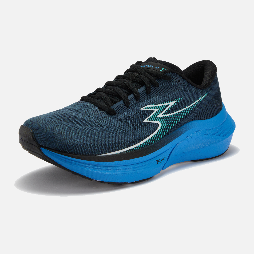MEN'S 361-PHOENIX 2: Dark Blue/Azure Blue